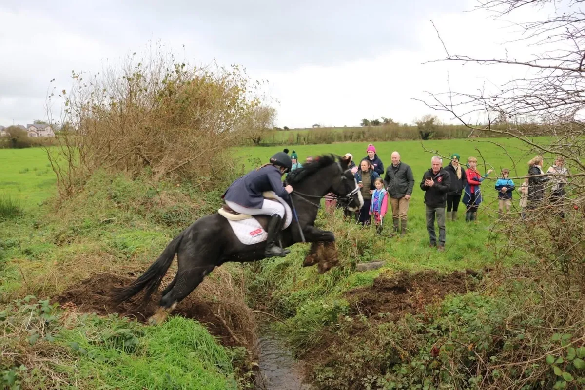 Hunting pony - Image 2