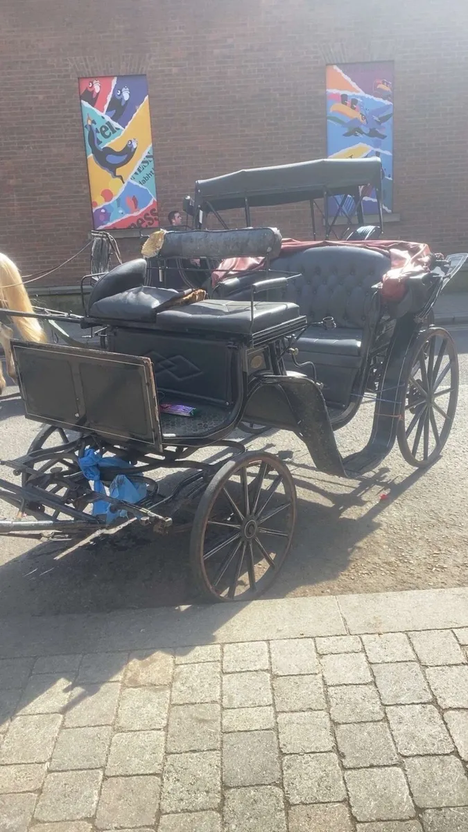 Cart carriage and harness - Image 1