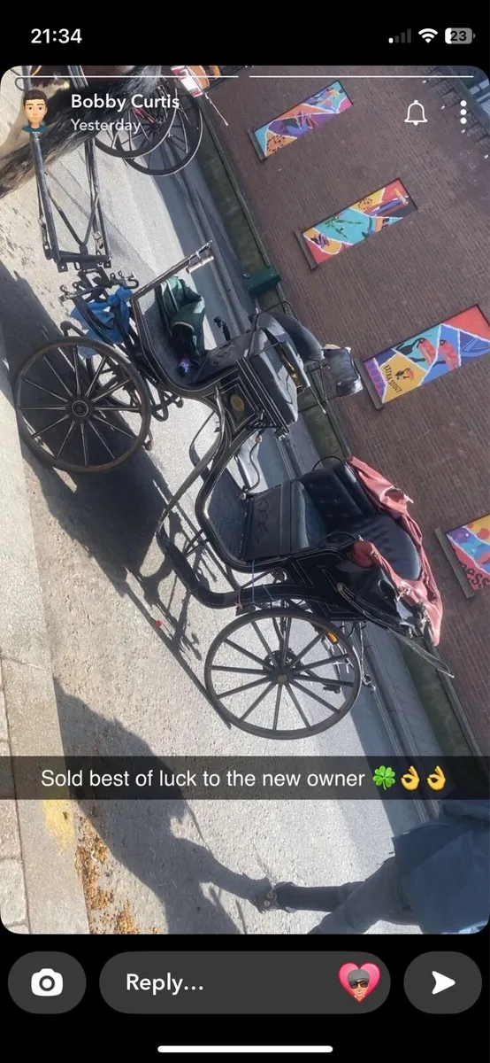 Cart carriage and harness - Image 2