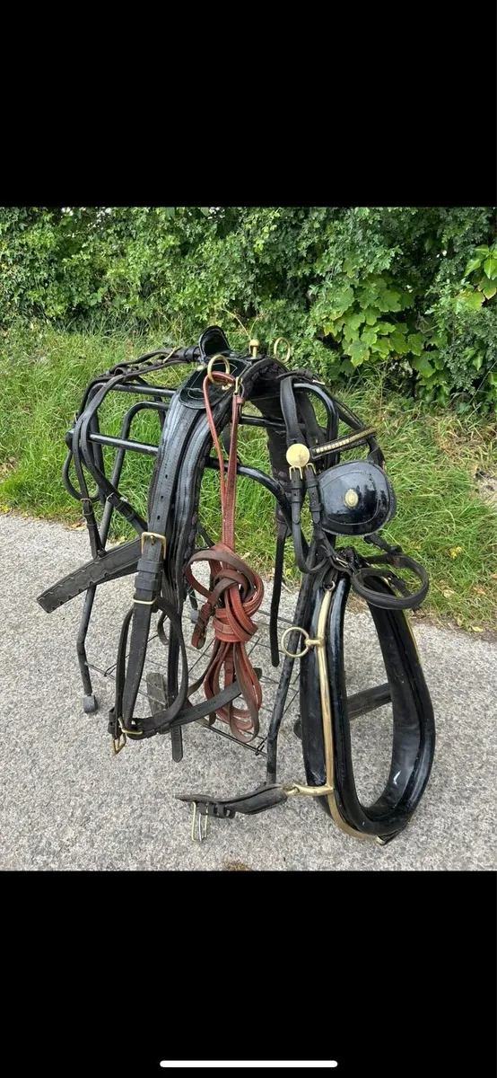 Cart carriage and harness - Image 3