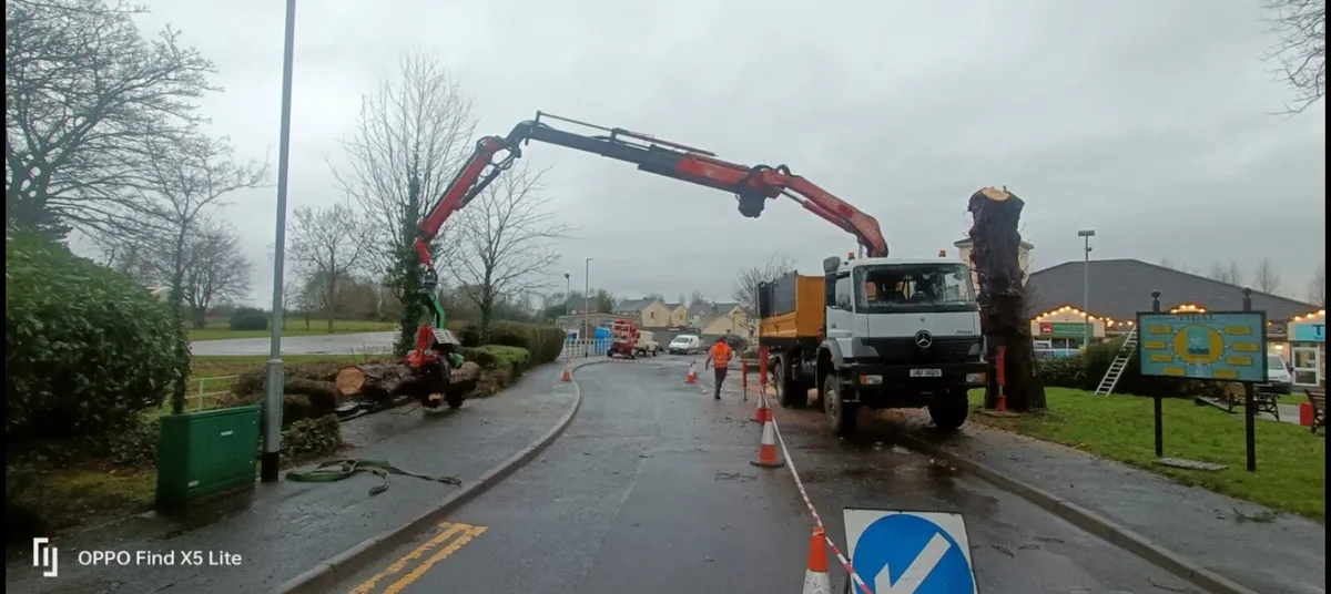 Timber grab grapple saw - Image 1