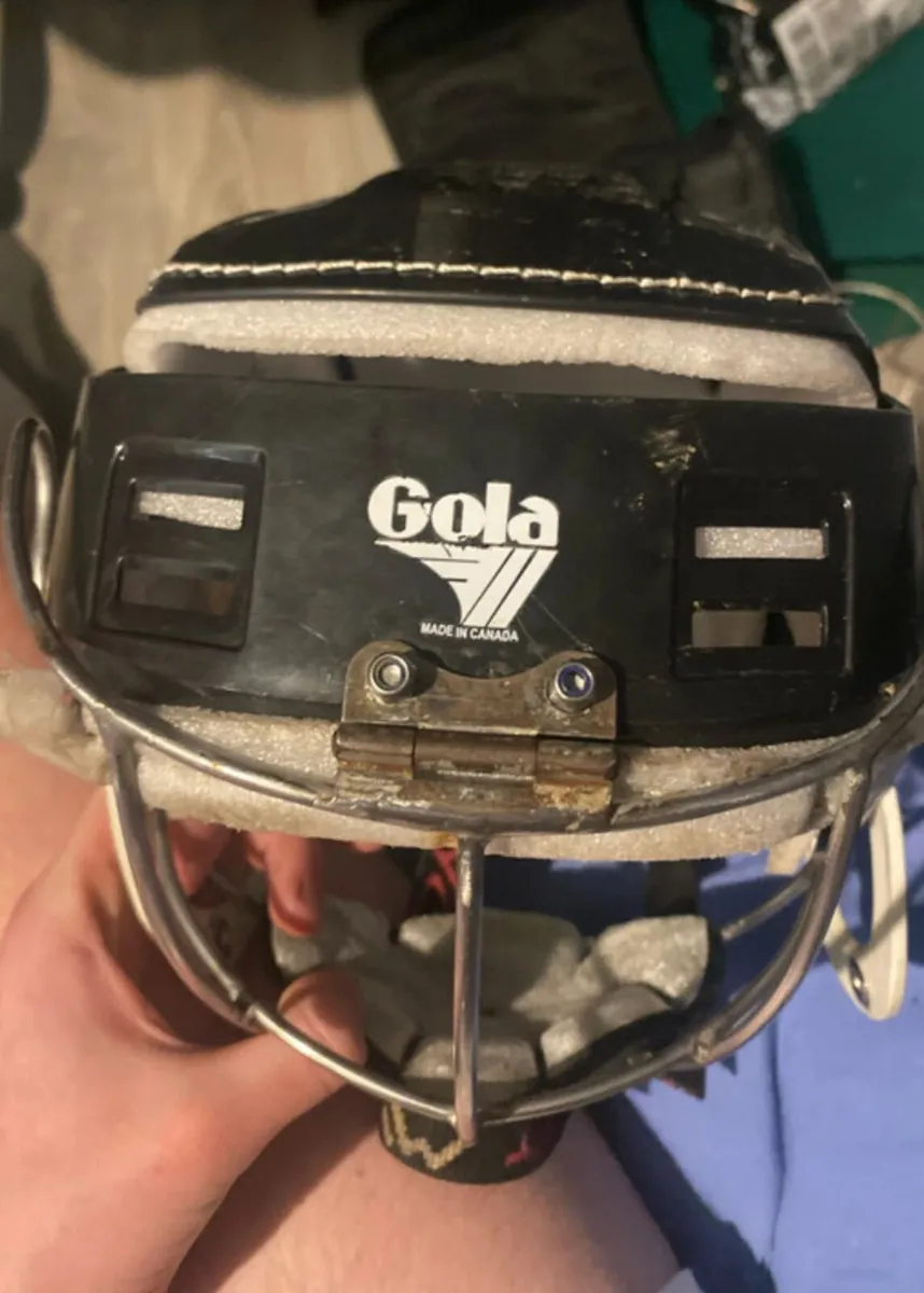 Oldstyle wide hinge - Image 1