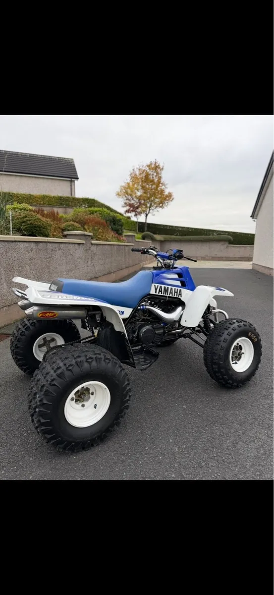 Yamaha Banshee - Image 2