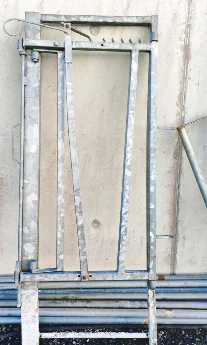 Cattle crush - Image 1