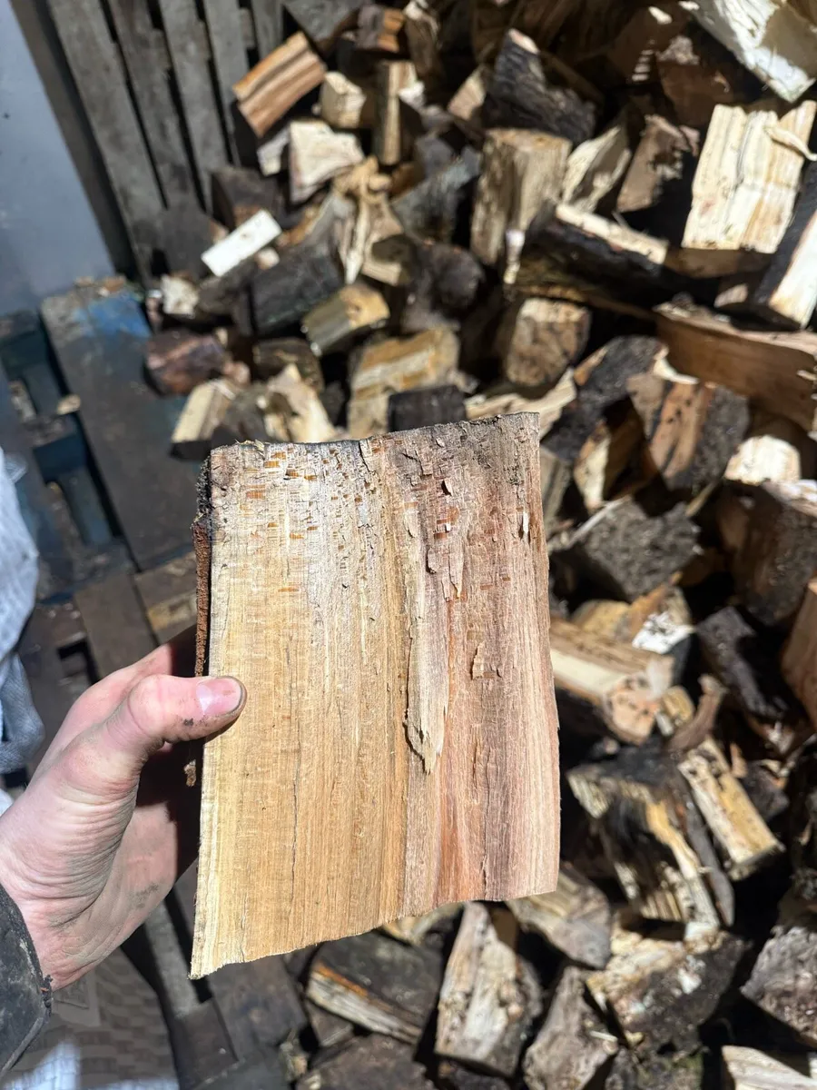 Hardwood firewood - Image 2