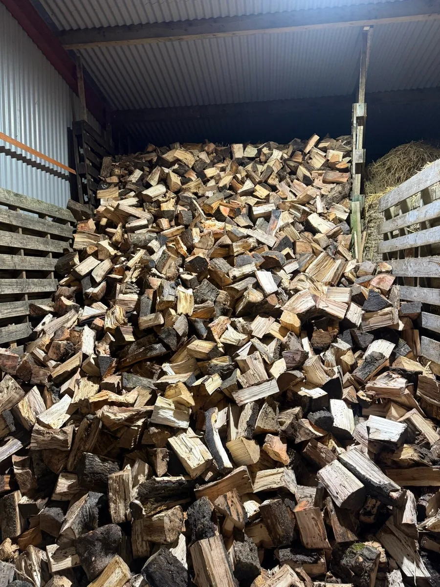 Hardwood firewood - Image 3