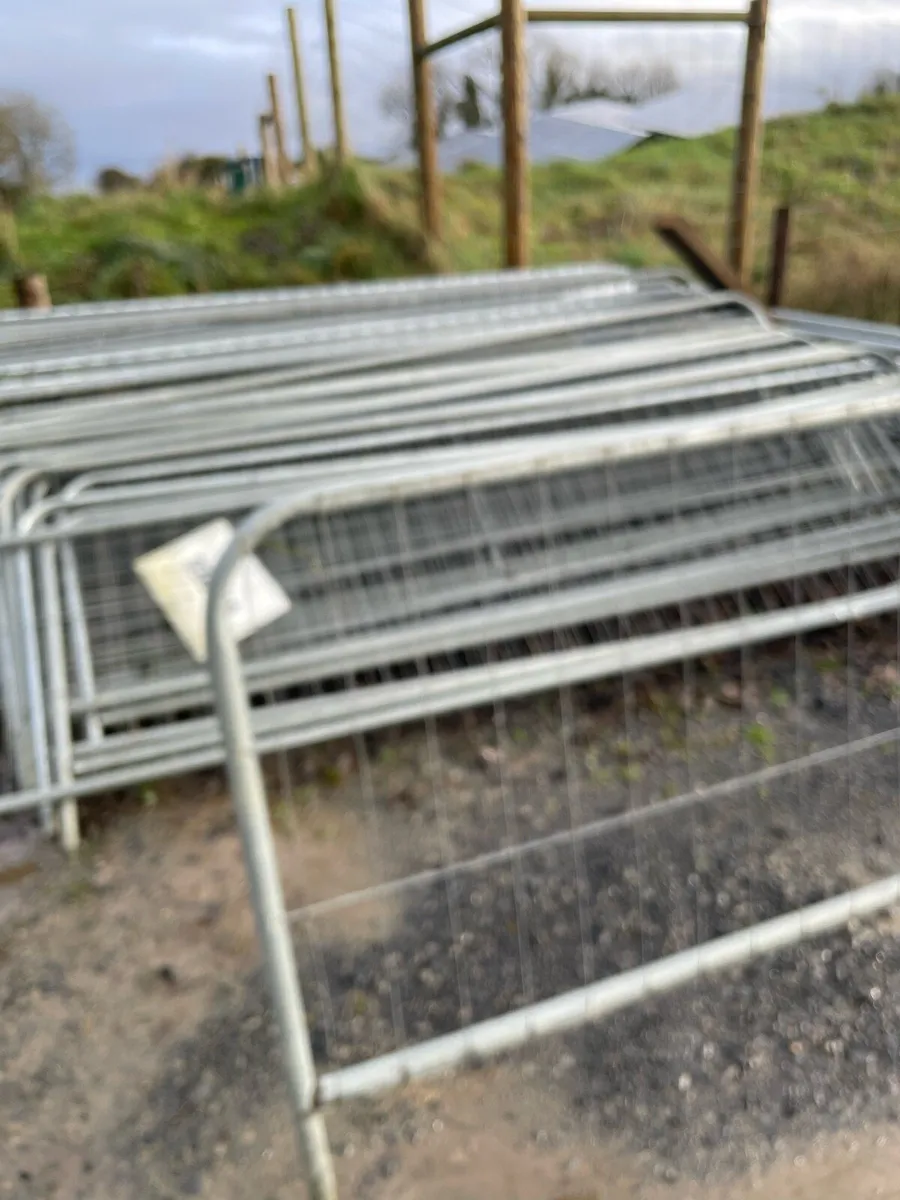 Heras/Harris Fencing - Image 4