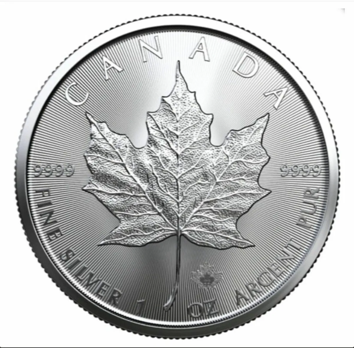 1oz Canadian Silver Maples (2022) - Buy 1 or Tube - Image 1