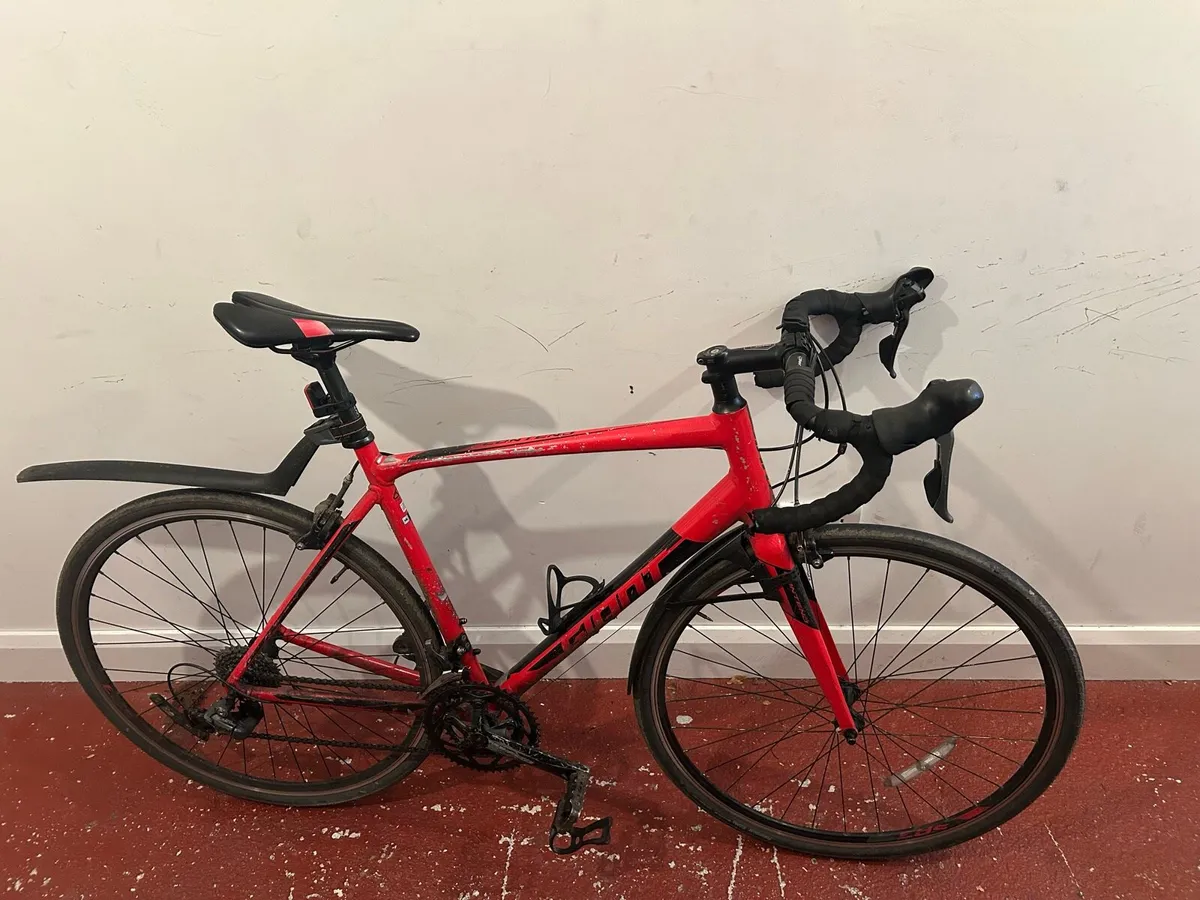 Giant Contend Racer - Image 4