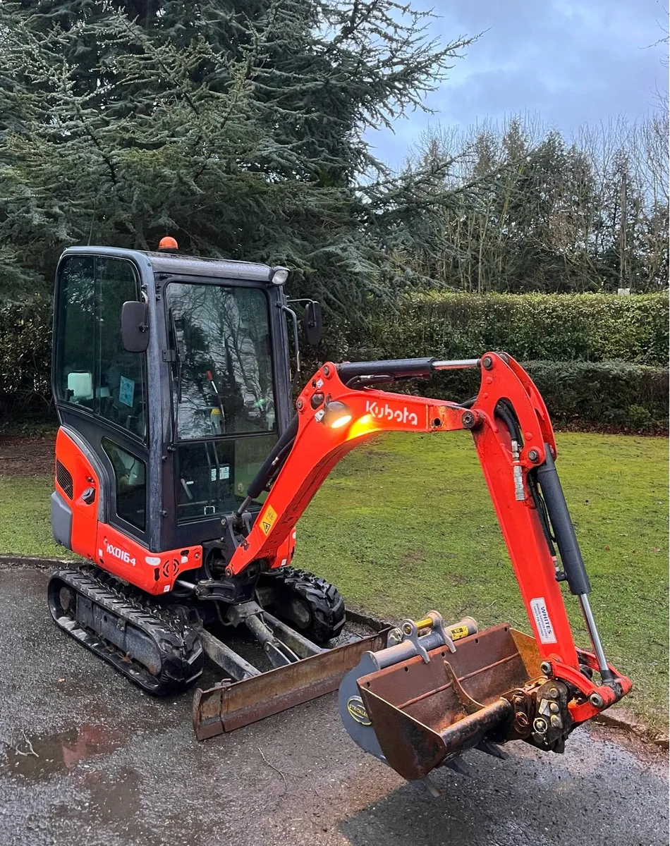 Mini Digger Works / Hire - Image 2
