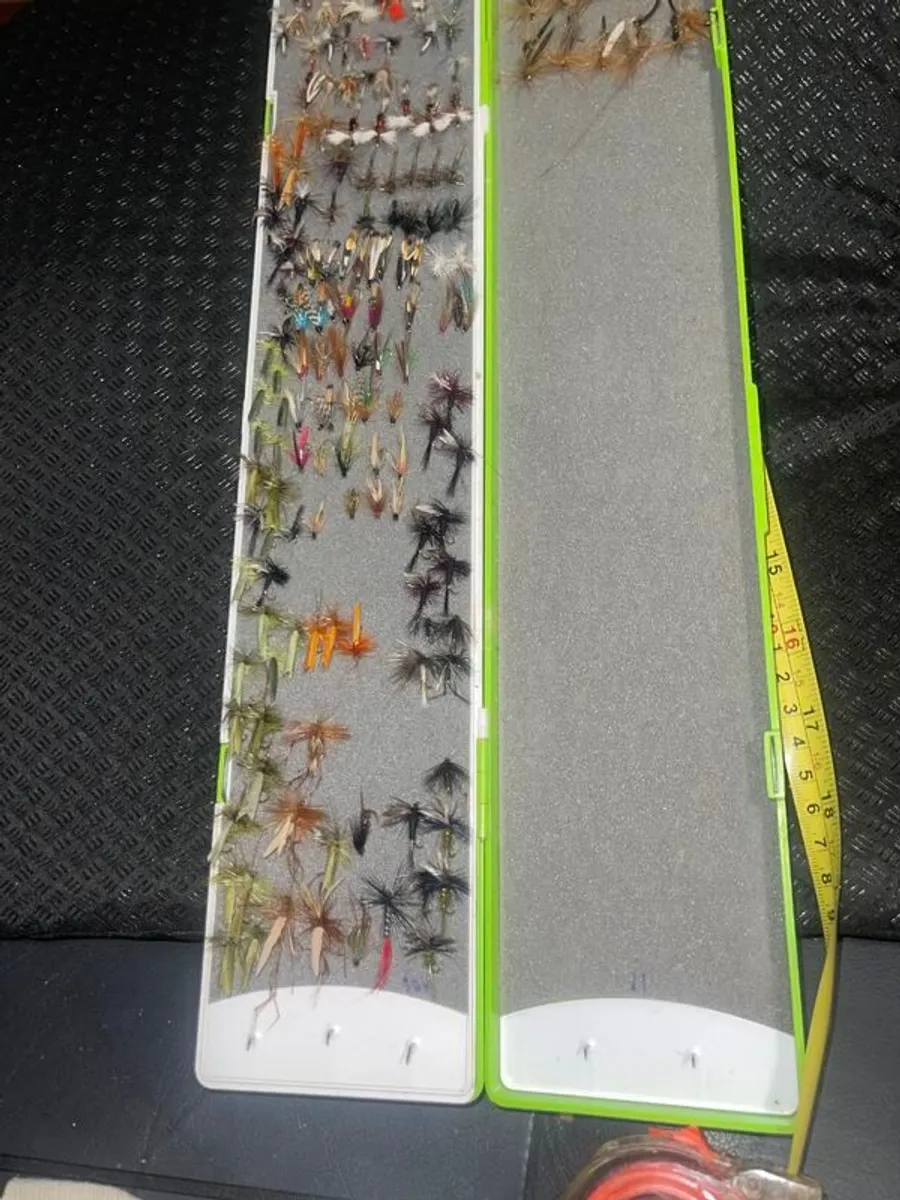 Fly Collection - Image 2