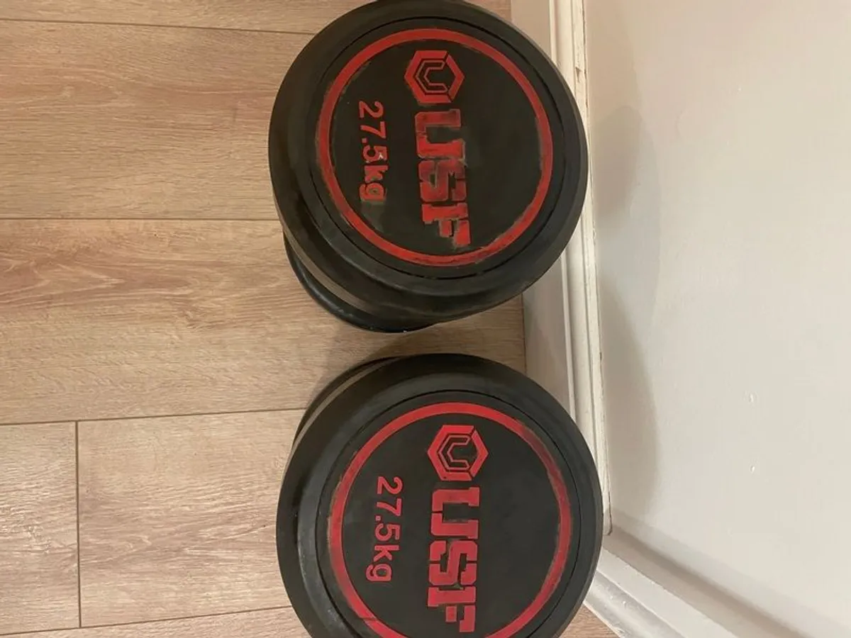 Dumbbells and Weight plates - Image 1