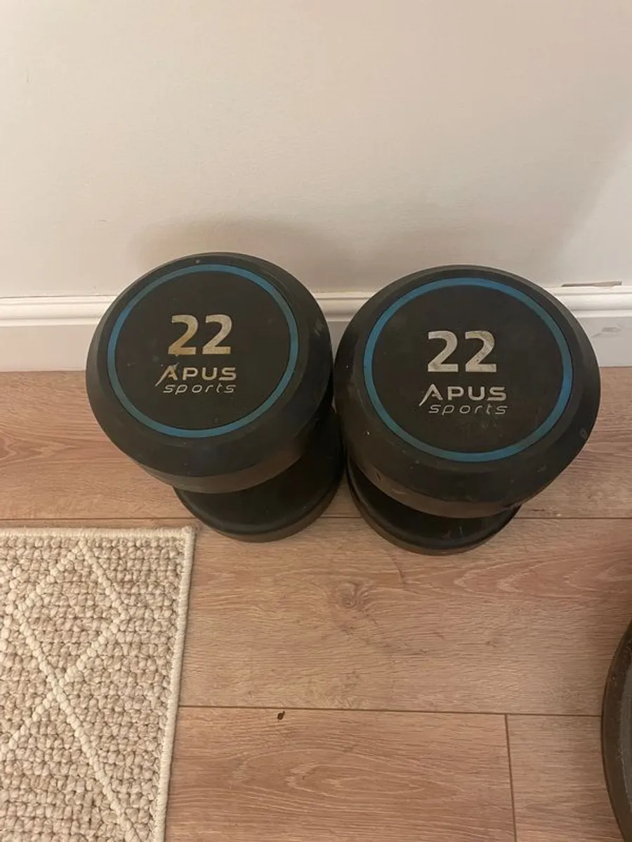 Dumbbells and Weight plates - Image 4