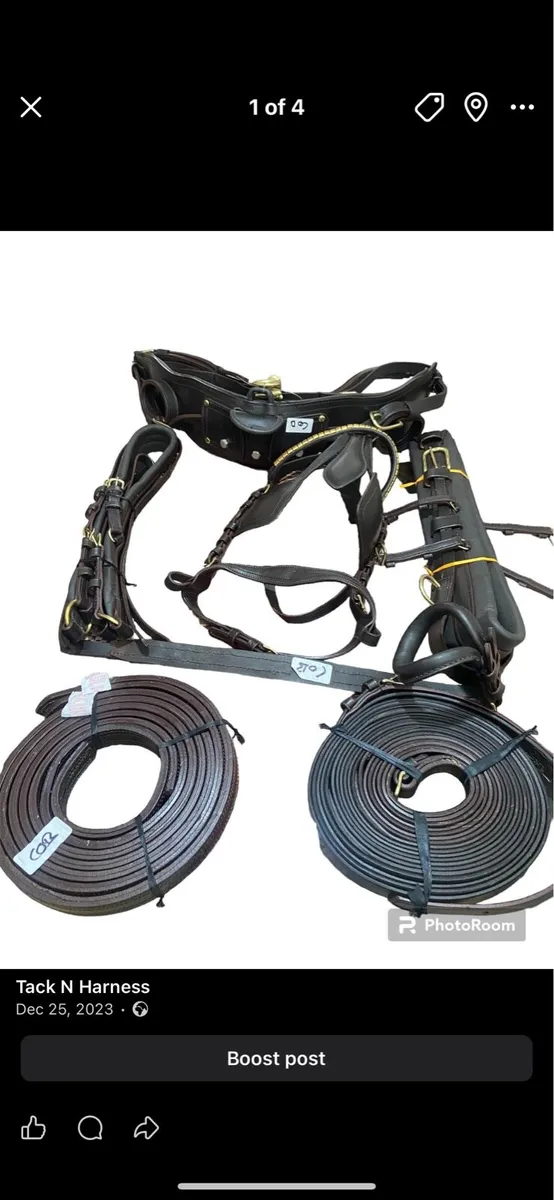 Horse harness - Image 2