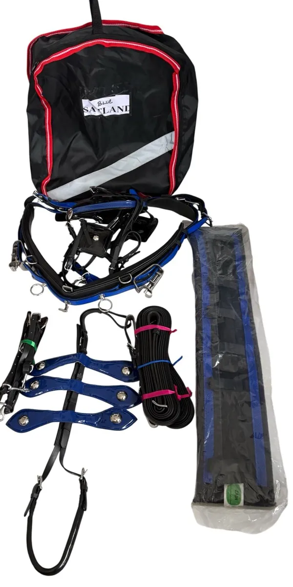 Horse horse - Image 4