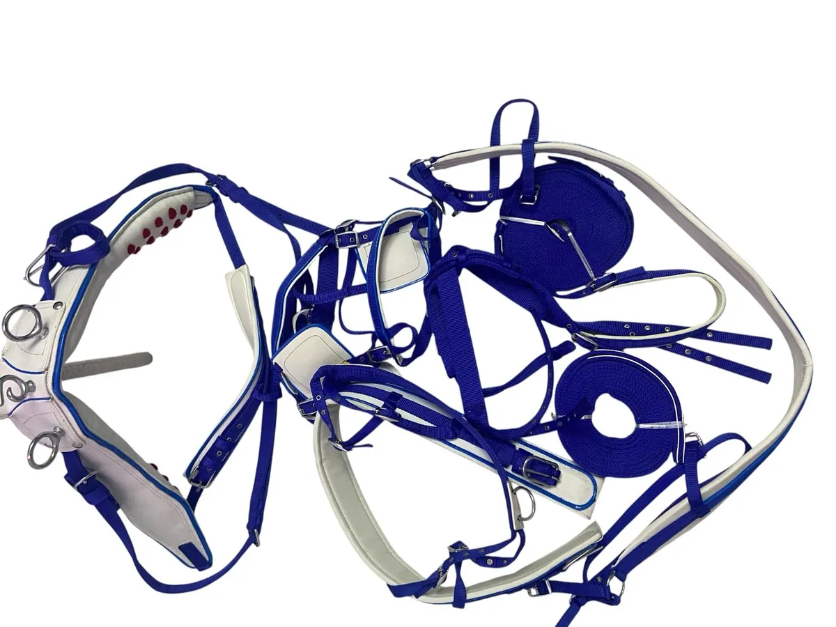 Nylon horse harness - Image 2