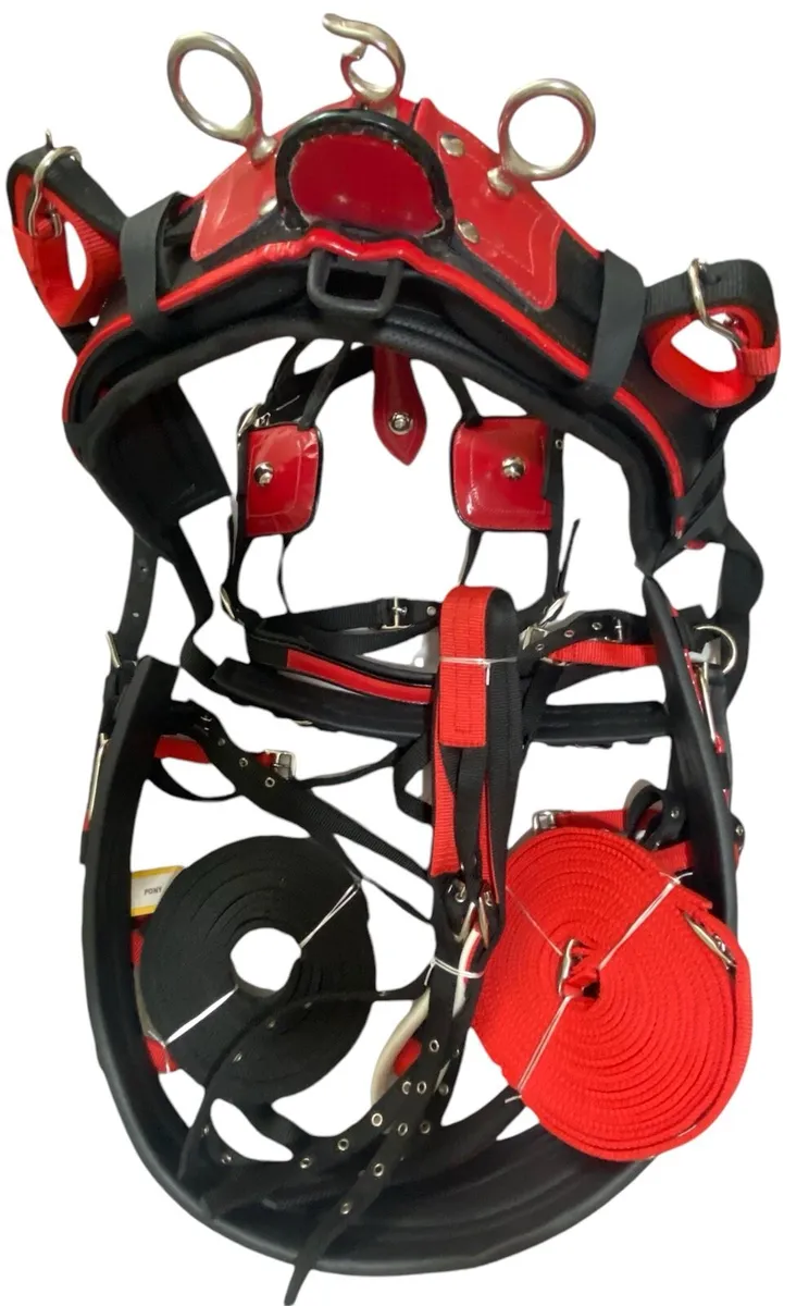 Nylon horse harness - Image 3