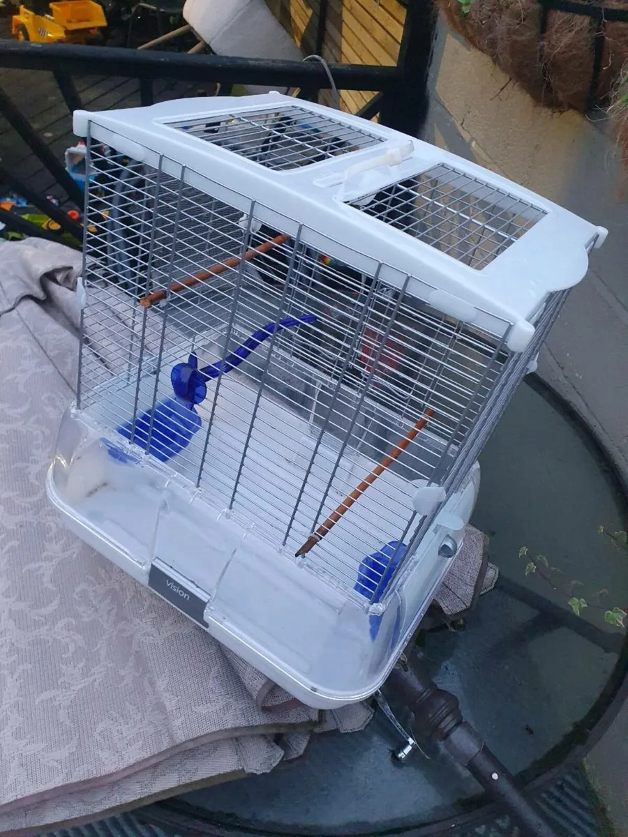 Bird cage - Image 2