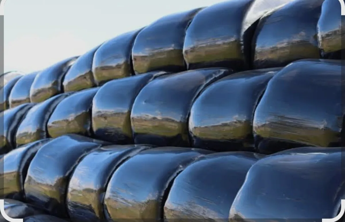 Silage bales - Image 1