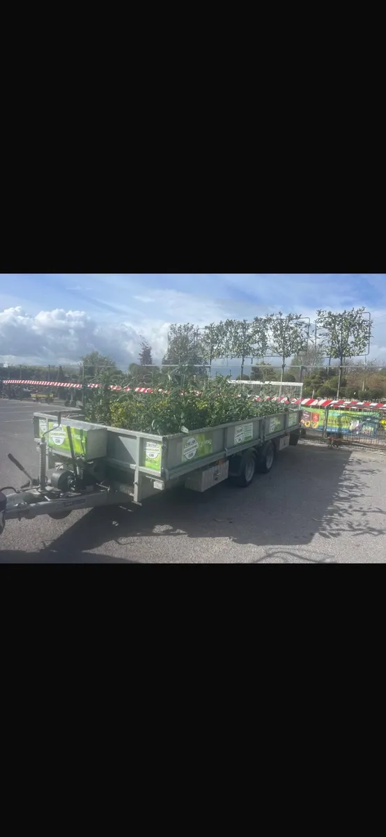 16ft for Williams trailer Tilt bed CT166.  16x6.6 - Image 4