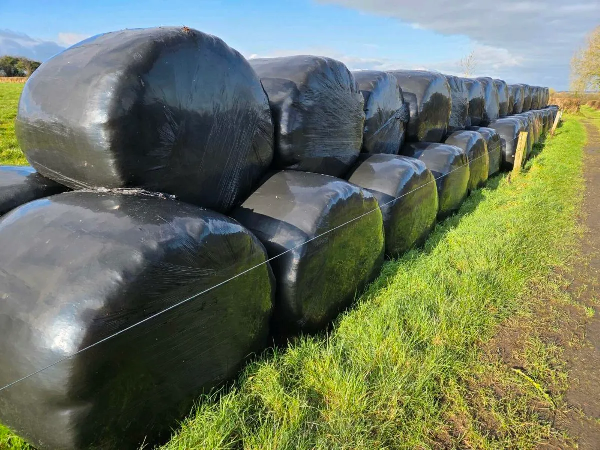 Silage and Red Clover Bale - Image 2