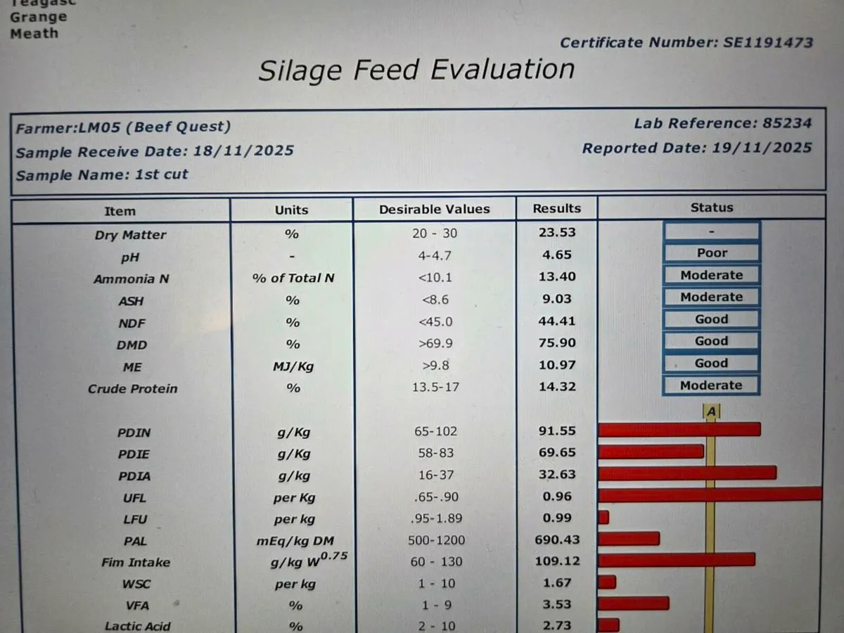 Silage and Red Clover Bale - Image 4