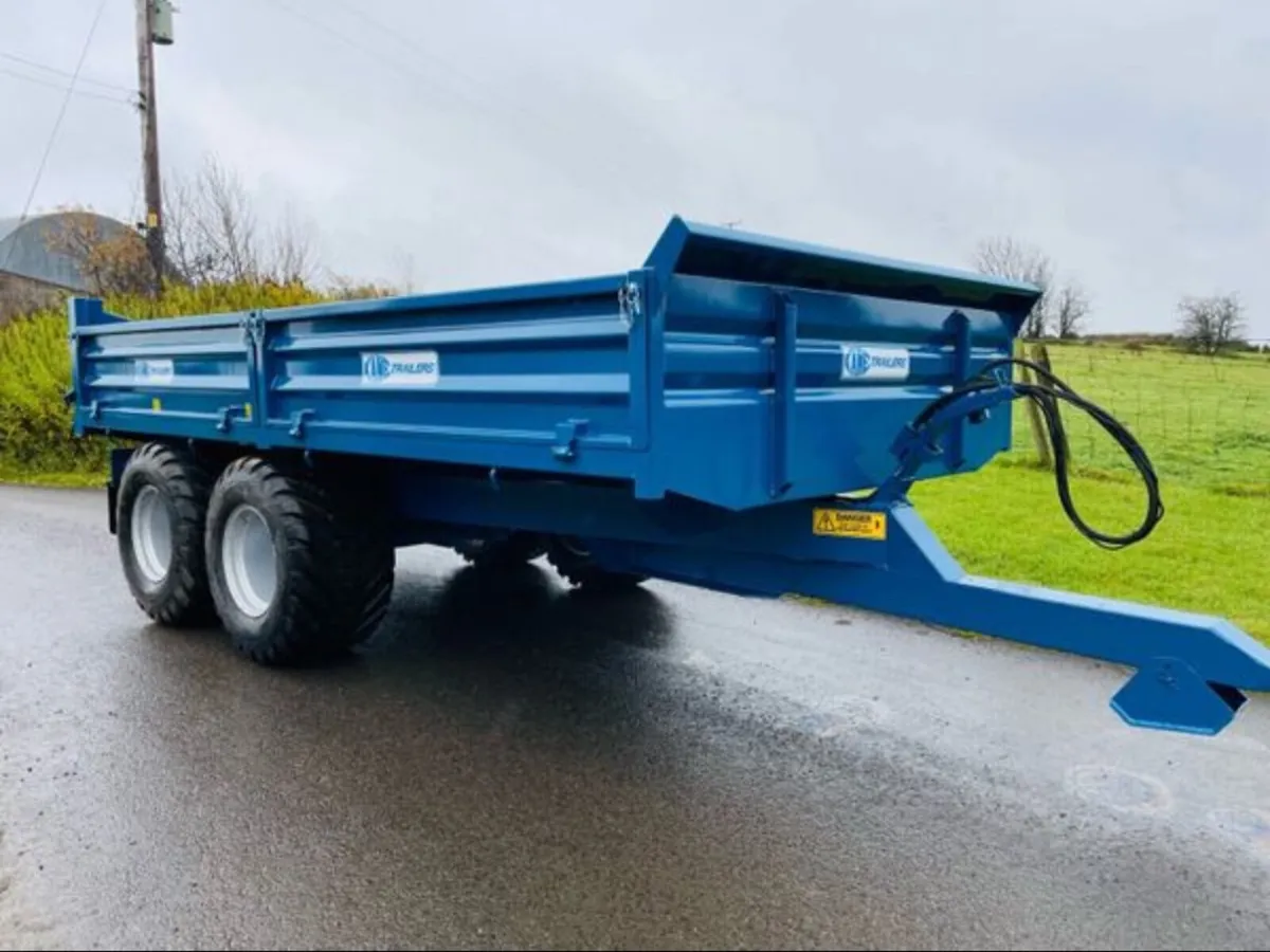 Kane 12 ton - Image 4