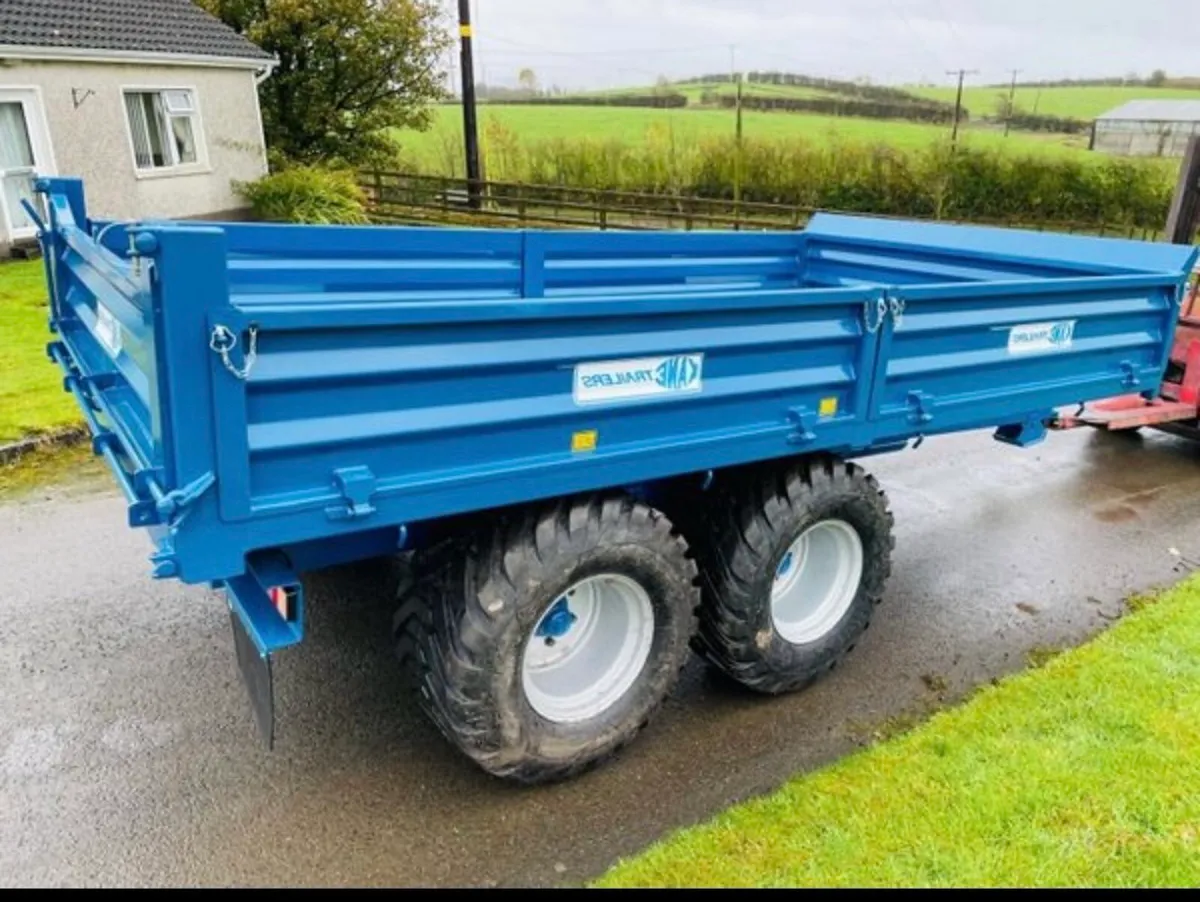 Kane 12 ton - Image 3