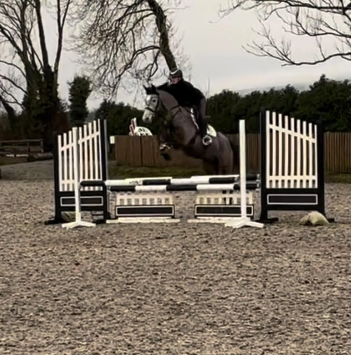 Grand Prix prospect - Image 1