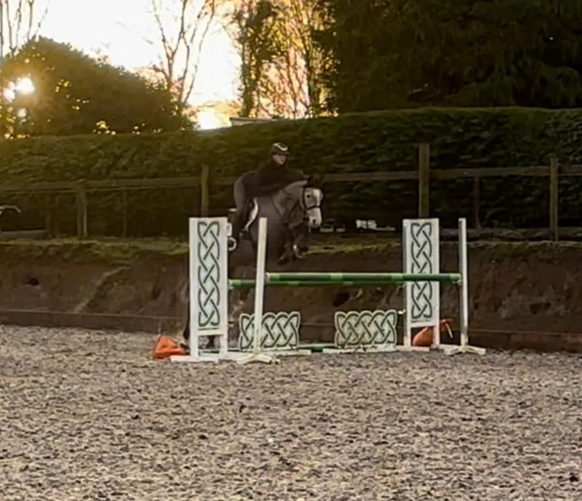 Grand Prix prospect - Image 4