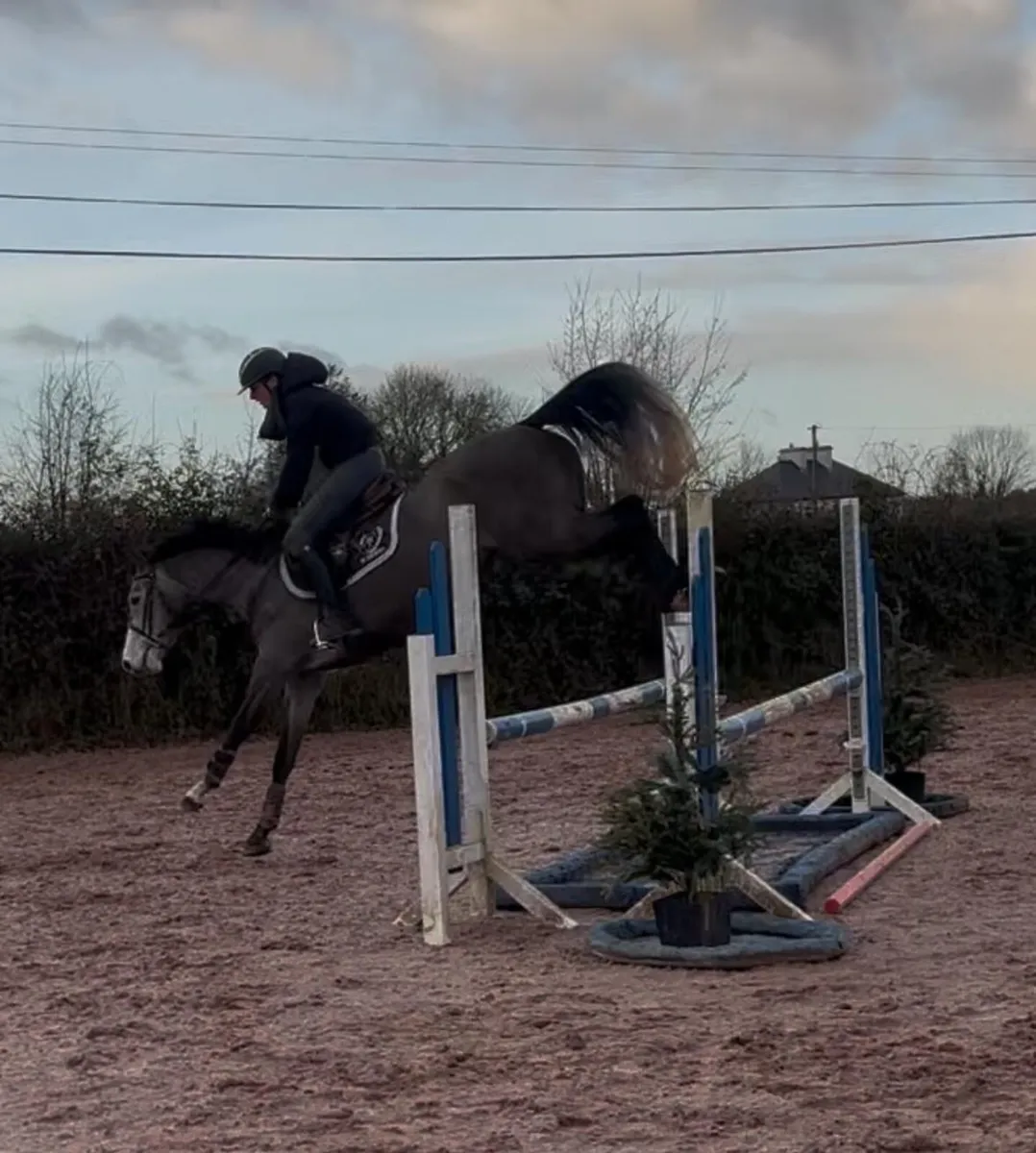 Grand Prix prospect - Image 3