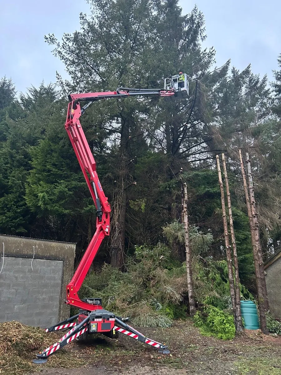 Tree Surgeon - Image 1