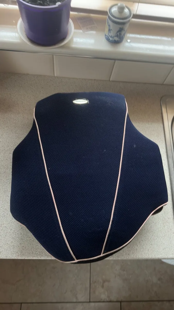 Riding Back Protector - Image 1