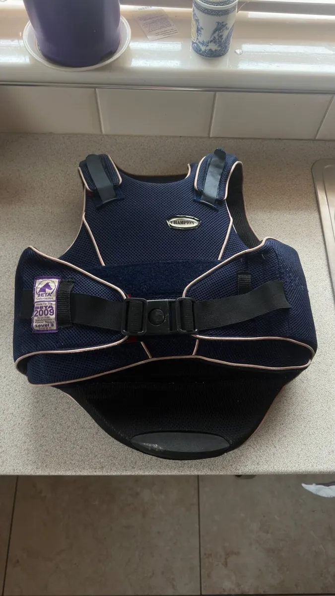 Riding Back Protector - Image 2