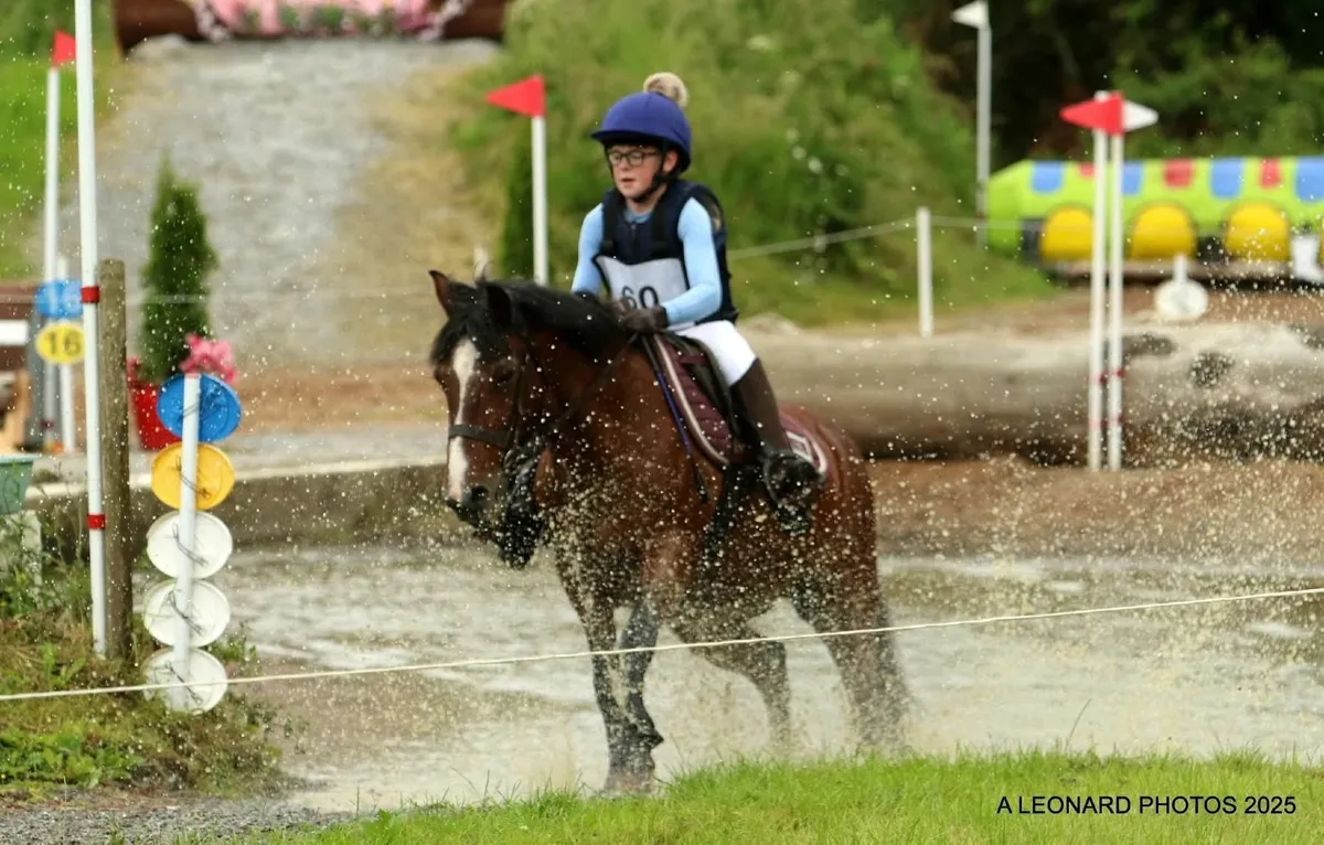 Experienced Hunting/xCountry Pony for Sale - Image 3