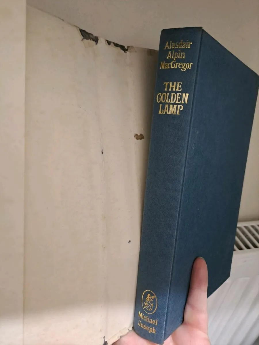 The Golden Lamp Alasdair Alpin MacGregor - Image 4