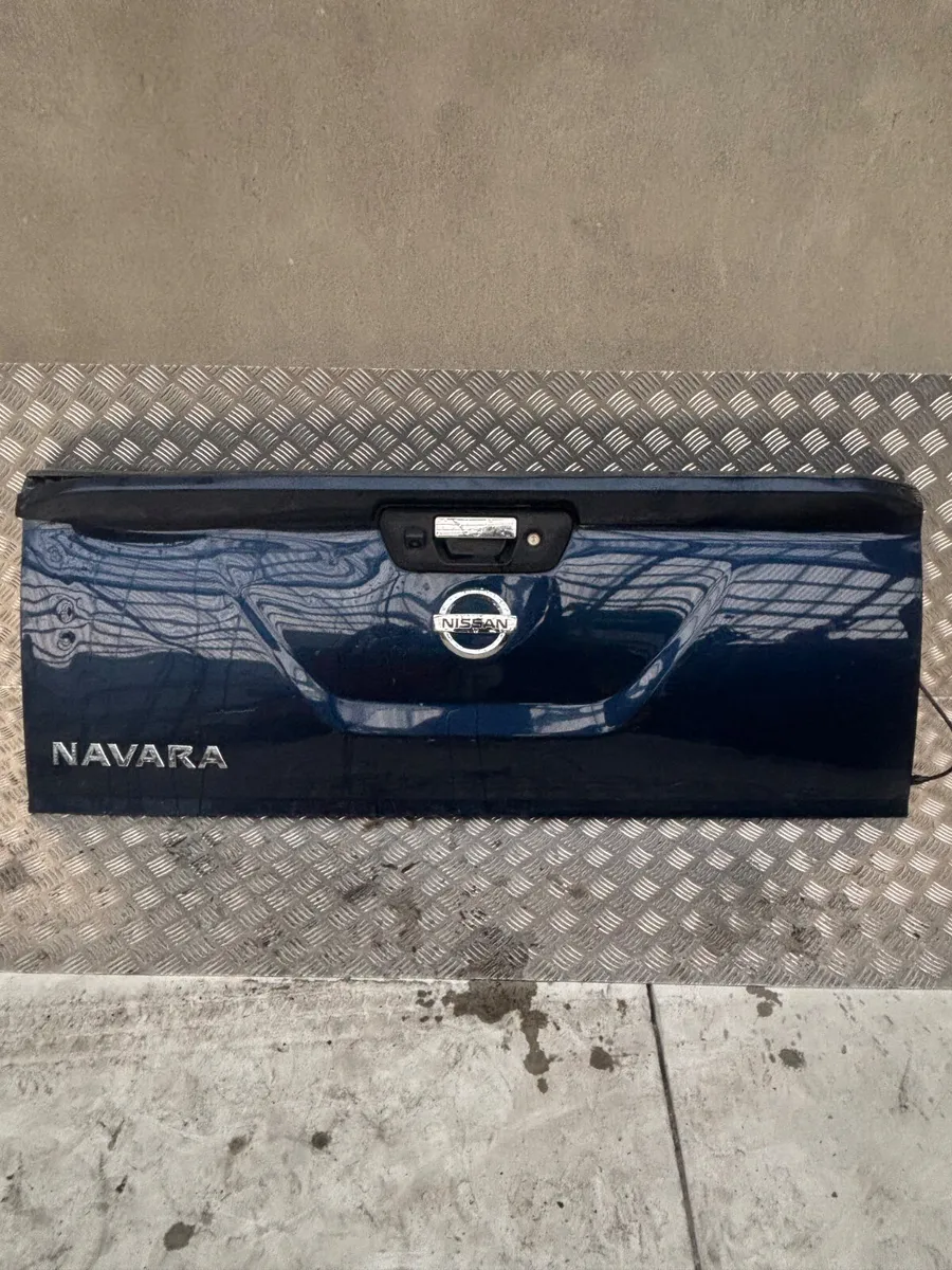 2017 Nissan Navara Rear Tub Door - Image 2