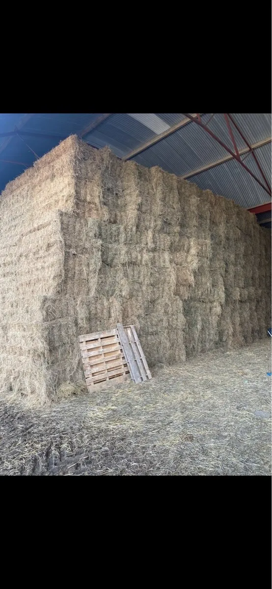Hay & straw - Image 1