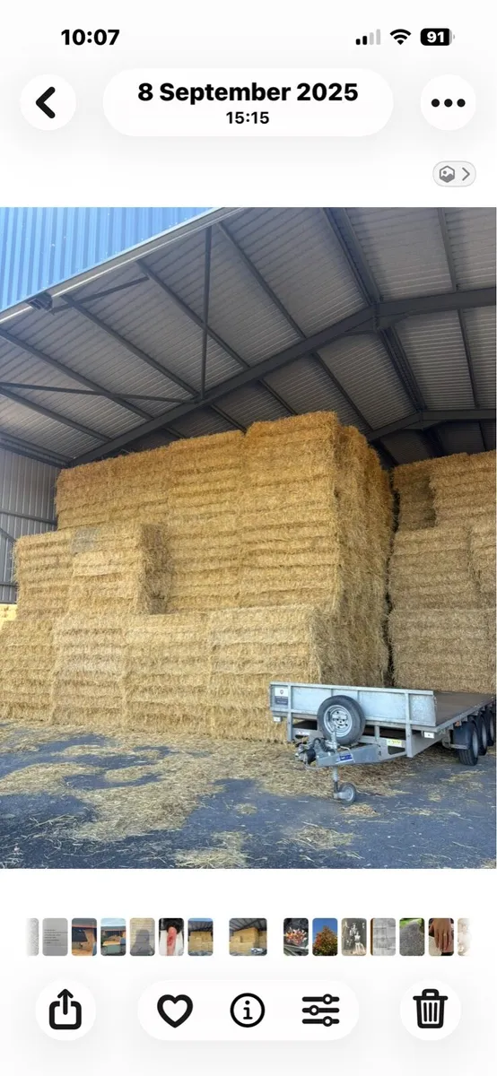 Hay & straw - Image 4