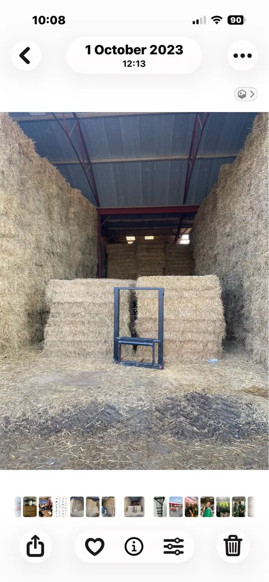 Hay & straw - Image 2