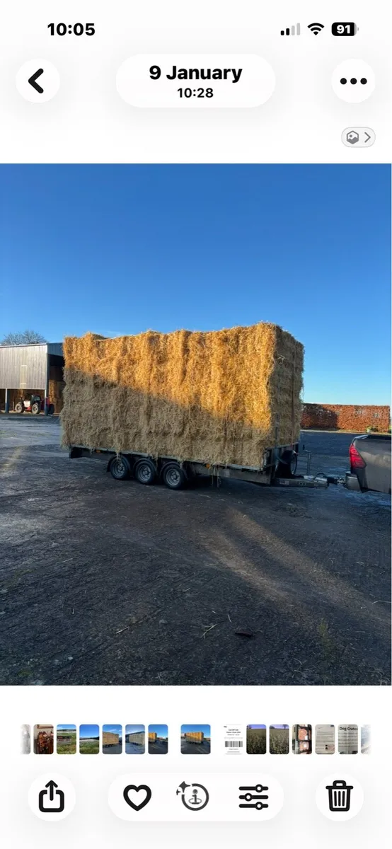 Hay & straw - Image 3