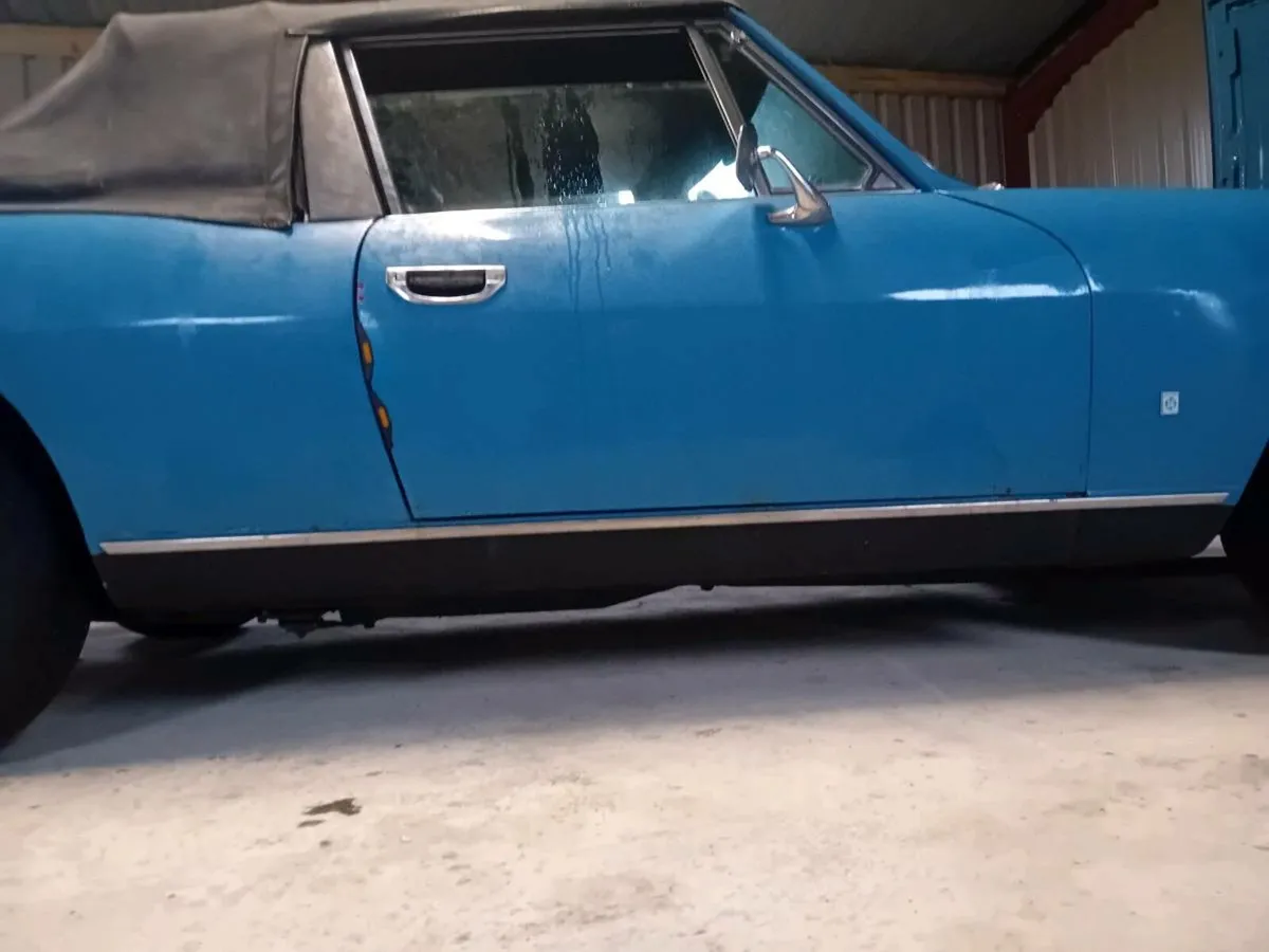 Triumph stag - Image 1