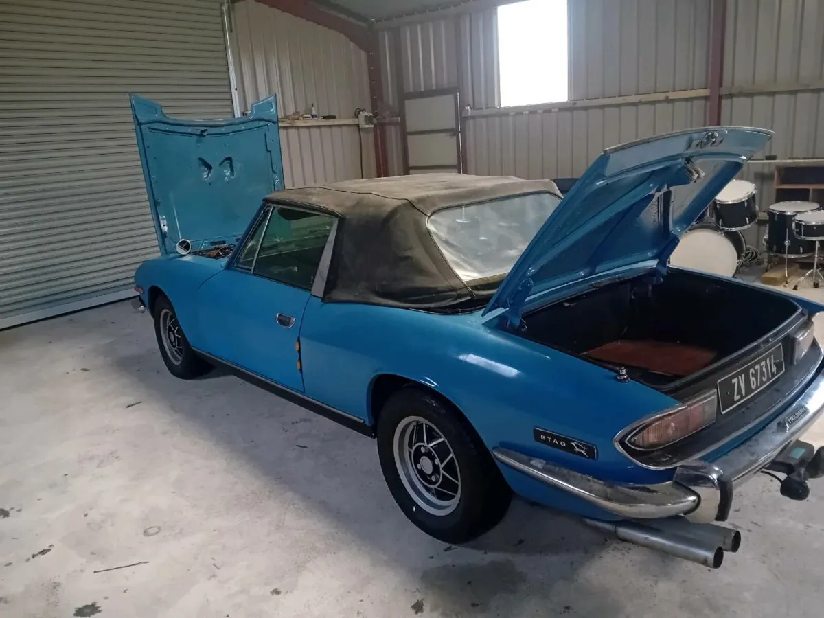 Triumph stag - Image 3