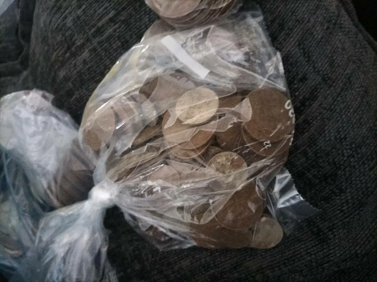 5kg of Irish old cions - Image 2