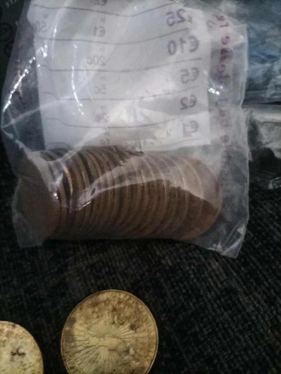 5kg of Irish old cions - Image 4