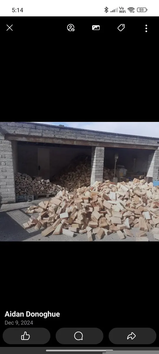 Firewood timber - Image 2