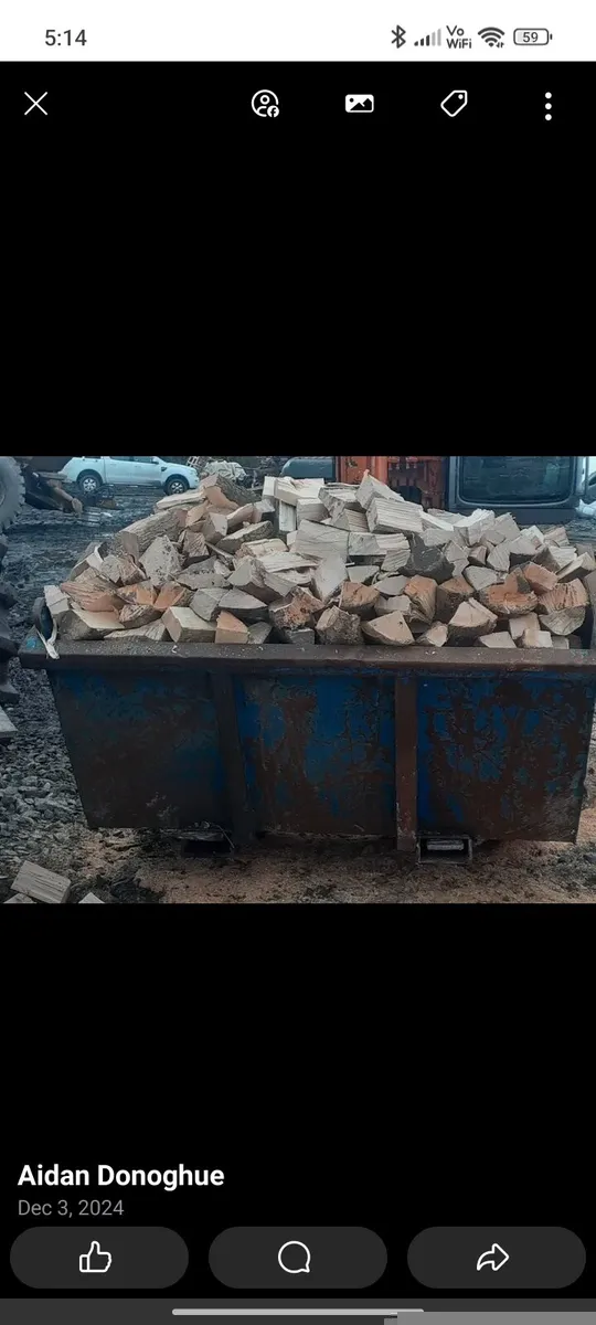 Firewood timber - Image 3