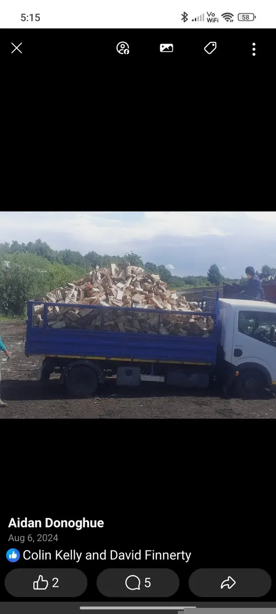 Firewood timber - Image 4