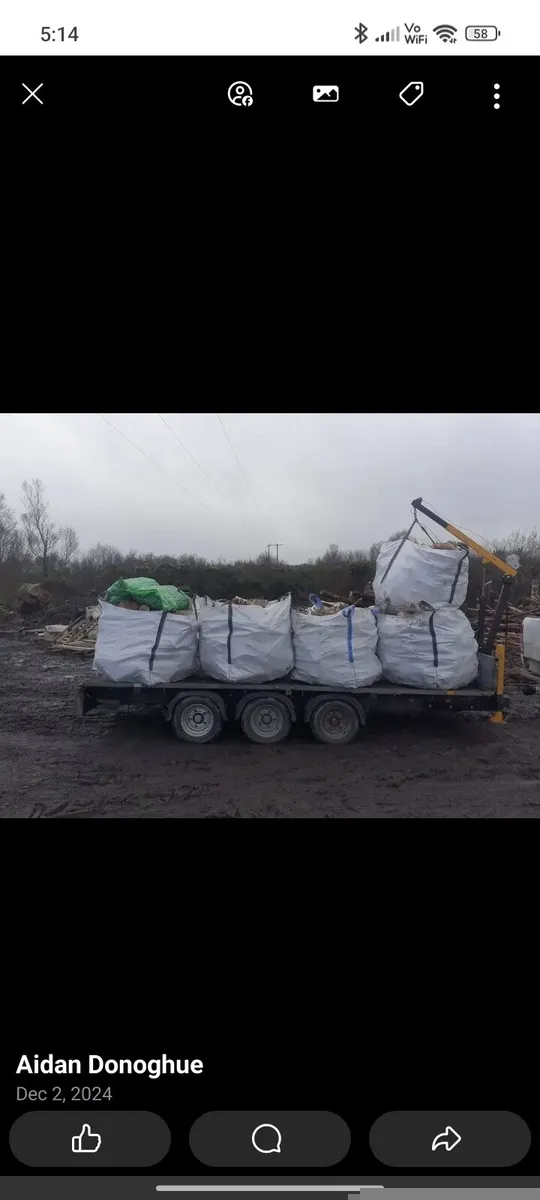 Firewood timber hardwood fuel - Image 4