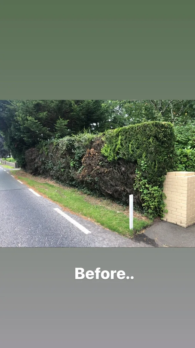 Mini Digger Works / Hire - Image 3